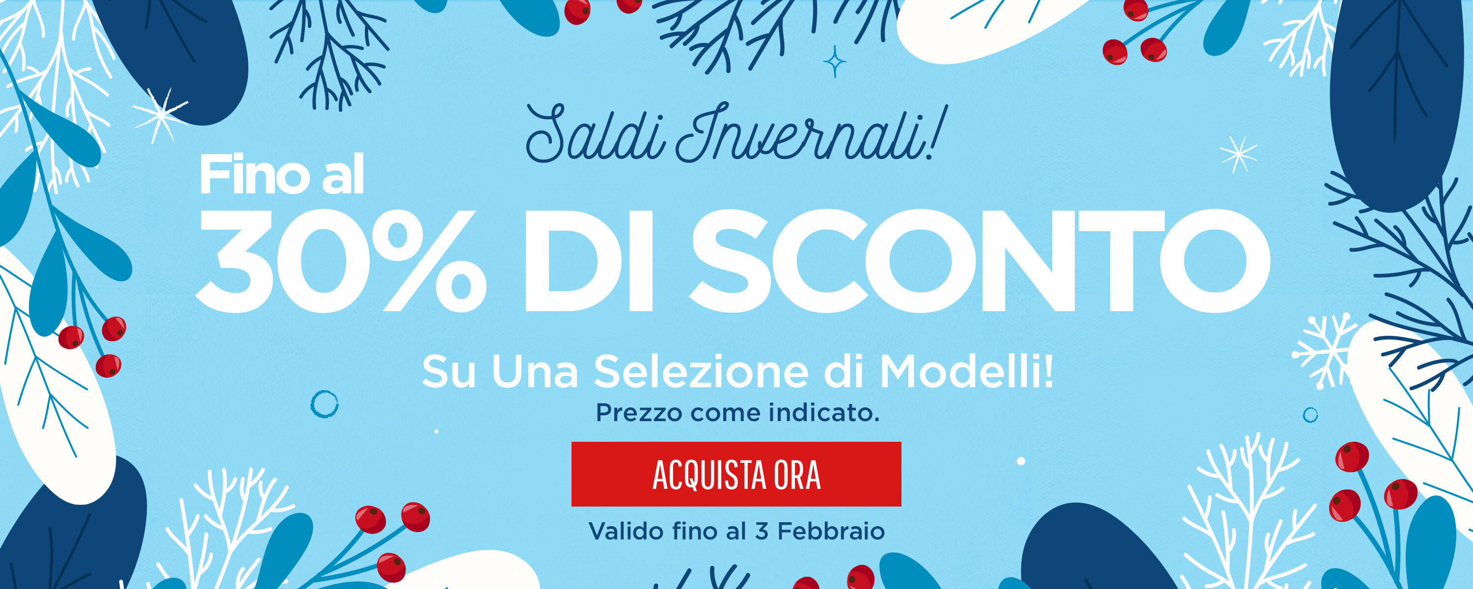 Winter Sale Hero Banner South